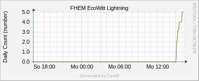 EcoWitt Lightning