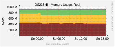 DS216+II - Memory Usage Real